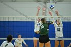 VB vs Plymouth St  Wheaton Women’s Volleyball vs Plymouth St. - Photo by Keith Nordstrom